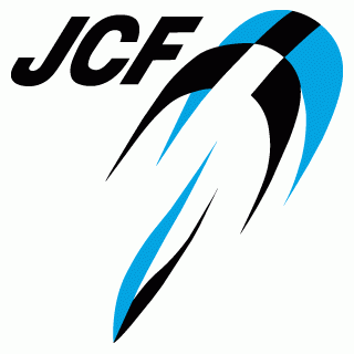 JCF公認の自転車用ヘルメット