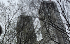 東京の自転車事情について書いてみた