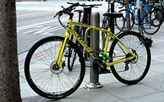 実録！世界の都市の自転車事情レポート