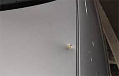 入ってて良かった個人賠償責任保険のお話｜子供が自動車を傷つけた